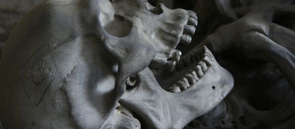 crâne - Sputnik Afrique