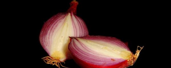 oignon - Sputnik Afrique