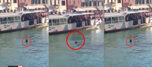 Un jeune réfugié africain s’est noyé à Venise sous les moqueries des badauds - Sputnik Afrique