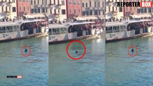 Un jeune réfugié africain s’est noyé à Venise sous les moqueries des badauds - Sputnik Afrique