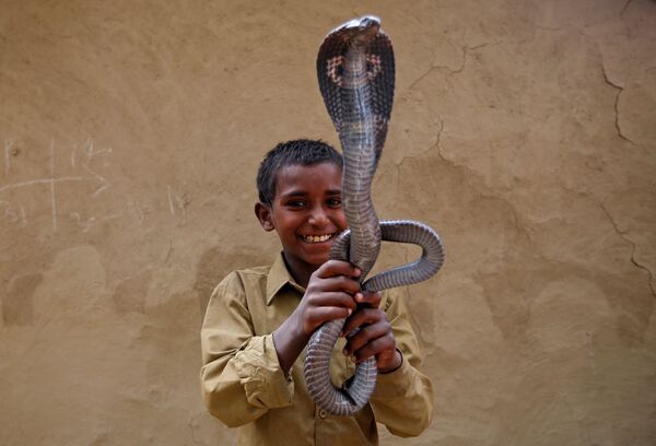 L’art de charmer les serpents - Sputnik Afrique
