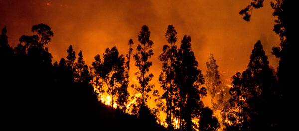 Feux de forêts au Chili Feux de forêts au Chili - Sputnik Afrique