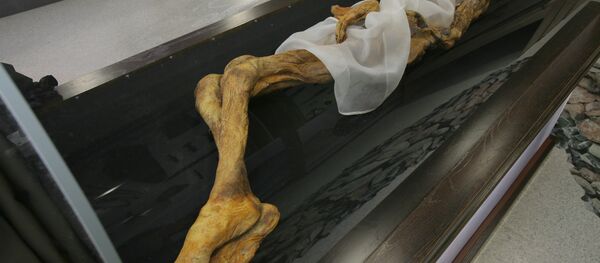 Des scientifiques péruviens recréent le visage d’une momie célèbre - Sputnik Afrique