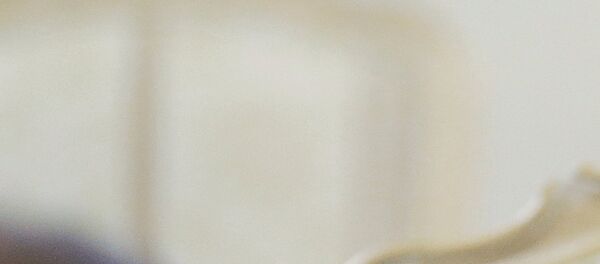 Встреча глав МИД РФ и Эритреи С. Лаврова и О. Салеха Встреча глав МИД РФ и Эритреи С. Лаврова и О. Салеха - Sputnik Afrique