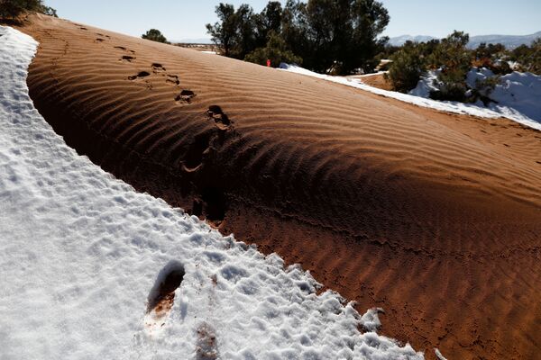 Chutes de neige sans précédent dans le Sahara - Sputnik Afrique