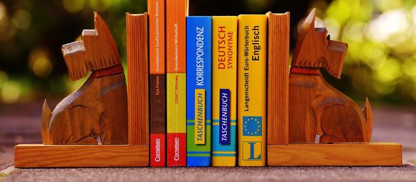 dictionnaires - Sputnik Afrique