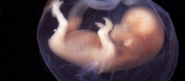 Embryon humain - Sputnik Afrique