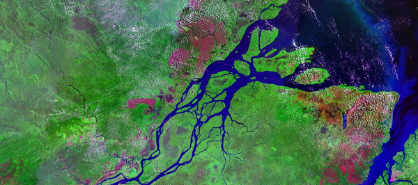 Le bassin de l’Amazone - Sputnik Afrique