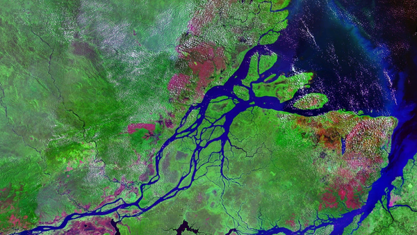 Le bassin de l’Amazone - Sputnik Afrique