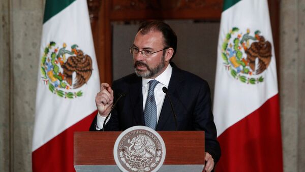 Luis Videgaray, ministre mexicain des Affaires étrangères - Sputnik Afrique