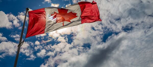 Drapeau canadien Drapeau canadien - Sputnik Afrique