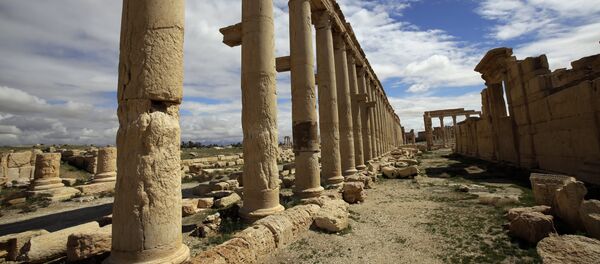 A picture taken on March 14, 2014 shows a partial view of the ancient oasis city of Palmyra, 215 kilometres northeast of Damascus. - Sputnik Afrique