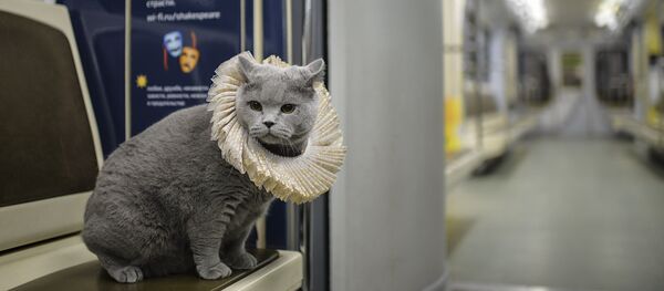 Métro de Moscou - Sputnik Afrique