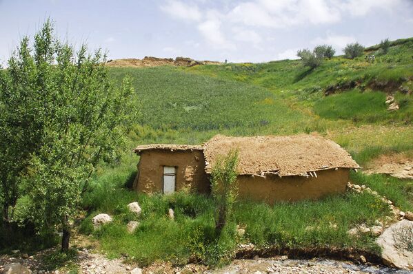 La nature et la vie rurale du nord de l’Iran - Sputnik Afrique