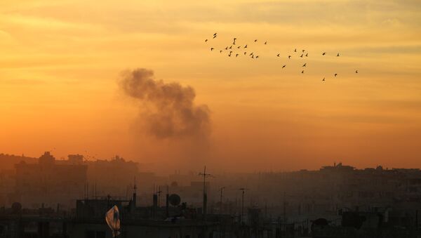 Smoke billows from a rebel-held area of Daraa, in southern Syria, following reported shelling by pro-government forces during sunset on January 12, 2017 - Sputnik Afrique