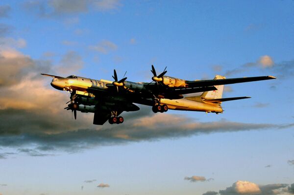 Tu-95MS   - Sputnik Afrique