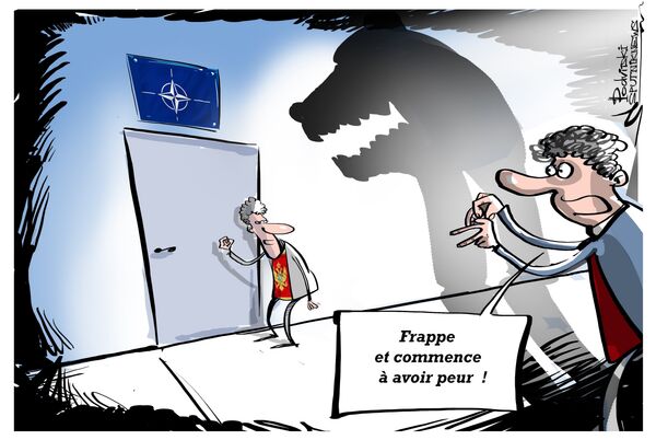 Grand Méchant Loup - Sputnik Afrique