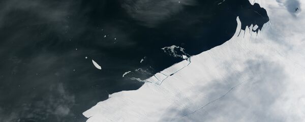 Un iceberg s’est détaché d’un glacier de l’Antarctique - Sputnik Afrique