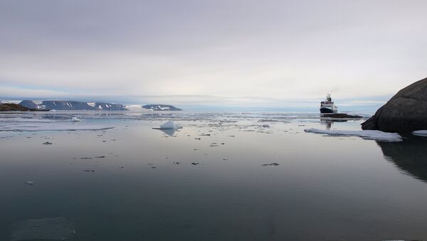 Le navire allemand RV Polarstern au large du Greenland - Sputnik Afrique