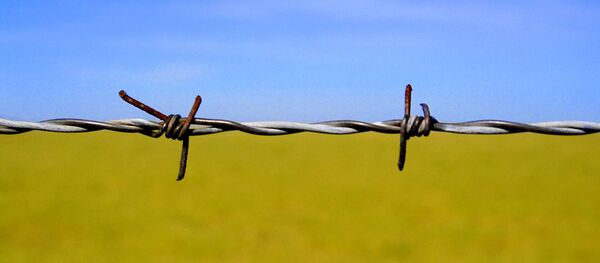 Les couleurs du drapeau ukrainien - Sputnik Afrique