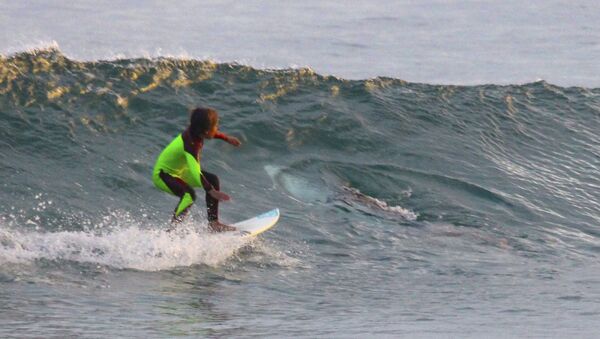 L'attaque d'un requin blanc contre deux surfeurs filmée par un drone - Sputnik Afrique