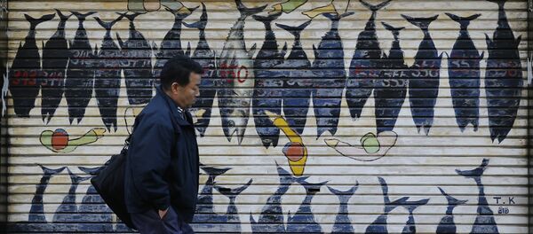 A worker walks past a shutter featuring the illustration of the famous tuna auction outside Tsukiji fish market in Tokyo, Monday, Nov. 28, 2016. - Sputnik Afrique