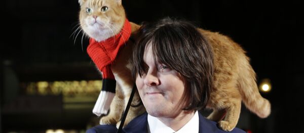 Ces chats qui ont fait l’histoire - Sputnik Afrique