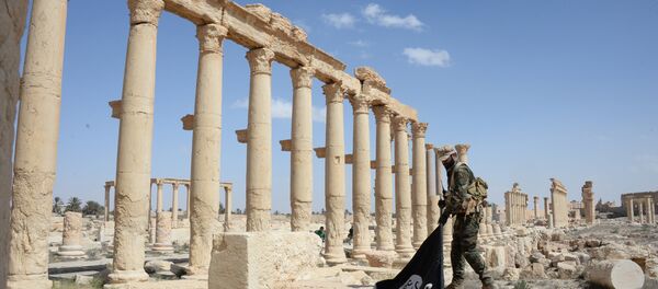 Palmyre - Sputnik Afrique