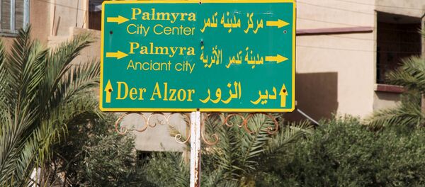 Palmyre - Sputnik Afrique