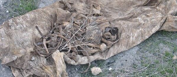 Un charnier avec plusieurs corps découvert au sud de Mossoul - Sputnik Afrique