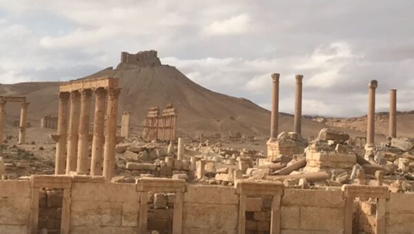 Историко-архитектурный комплекс Древней Пальмиры в сирийской провинции Хомс - Sputnik Afrique