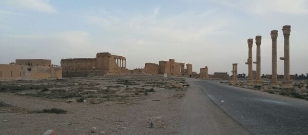 Palmyre - Sputnik Afrique