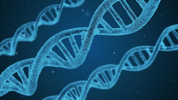 Un pas vers le clonage humain: des scientifiques UK ont créé des embryons artificiels - Sputnik Afrique