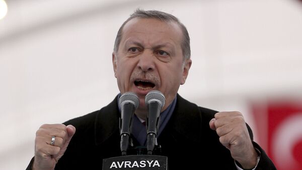 Erdogan qualifie les résultats du référendum de victoire sur «les croisés» - Sputnik Afrique