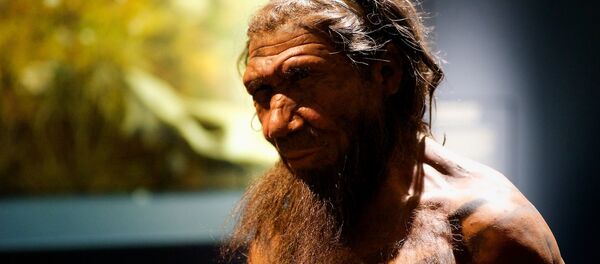 Des fossiles d’un hominidé inconnu découverts en Chine - Sputnik Afrique