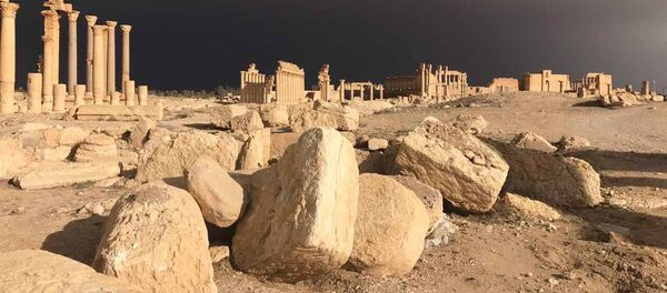 Palmyre: les dégâts causés par les terroristes ne sont pas importants - Sputnik Afrique