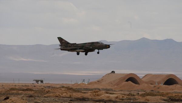 Un avion de l'armée syrienne non loin de Palmyre - Sputnik Afrique