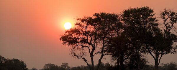 Afrique du Sud - Sputnik Afrique