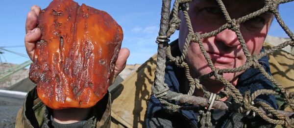 Предприятие Янтарный комбинат в Калининградской области - Sputnik Afrique