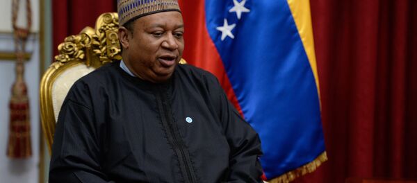 Mohammed Barkindo - Sputnik Afrique