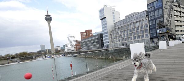 Düsseldorf - Sputnik Afrique