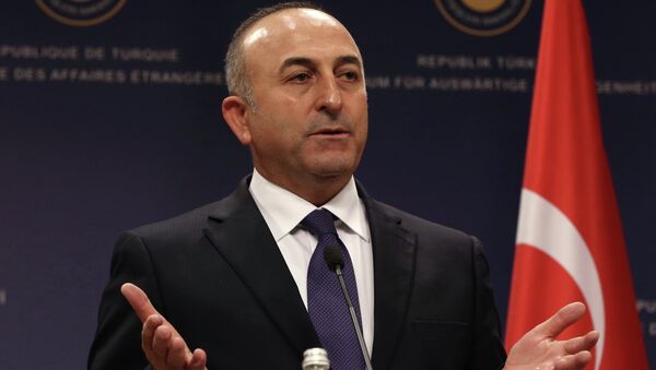 Les Pays-Bas interdisent l'atterrissage du vol du ministre turc des Affaires étrangères - Sputnik Afrique