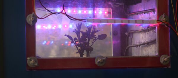 Simulateur Cubesat Simulateur Cubesat - Sputnik Afrique