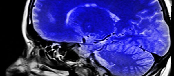 Le cerveau humain - Sputnik Afrique