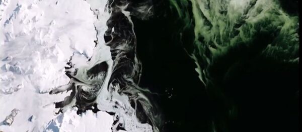 l'Antarctique - Sputnik Afrique