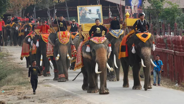 La journée nationale des éléphants en Thaïlande - Sputnik Afrique
