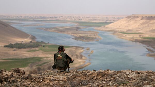 Un combattant des Forces démocratiques syriennes près de l'Euphrate, au nord de Raqqa - Sputnik Afrique