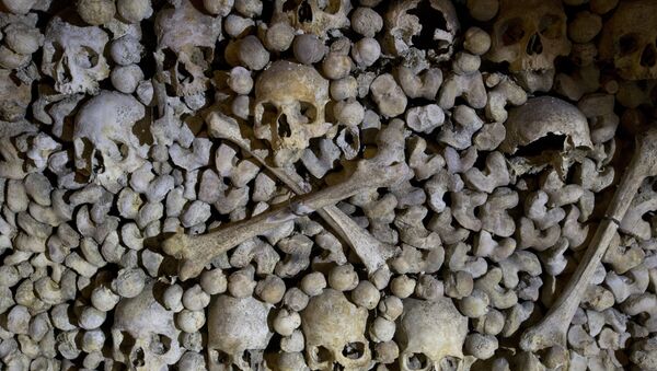 Crânes et os sont empilés aux Catacombes à Paris, France - Sputnik Afrique