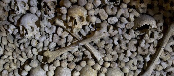 Crânes et os sont empilés aux Catacombes à Paris, France - Sputnik Afrique