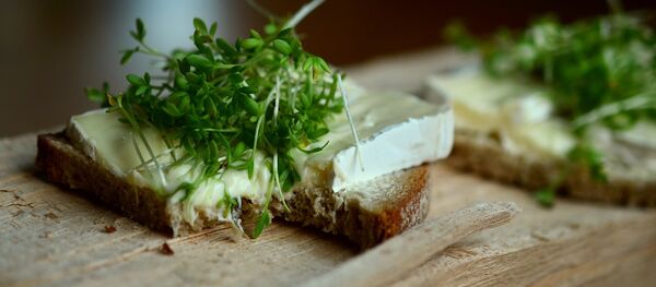 fromage - Sputnik Afrique